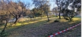 Photo numero 46971167 du bien UBI468535466